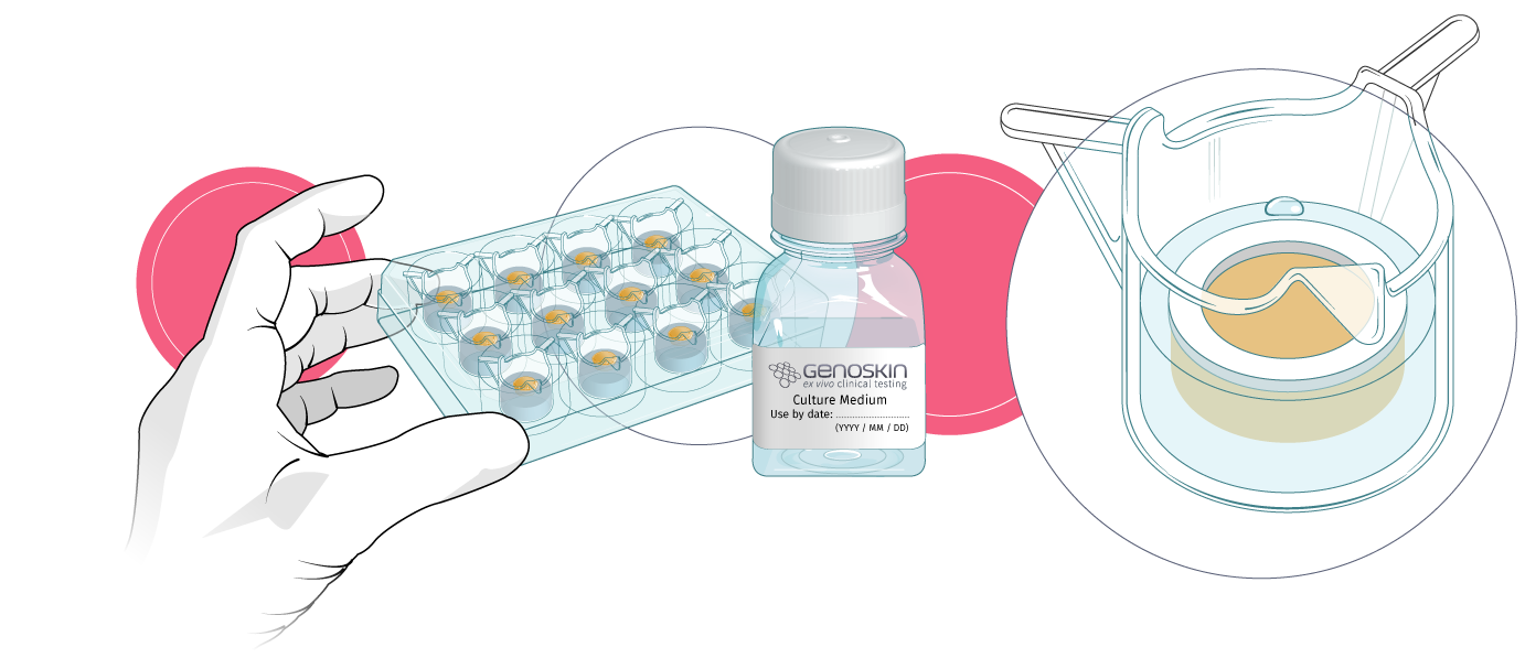 Genoskin-shop-header-0422